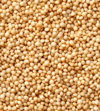 amaranth.jpg
