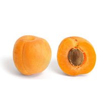 apricot.jpg