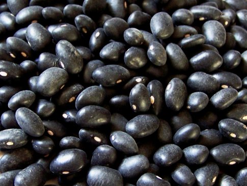 black_bean.jpg