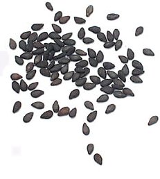 black_sesame.jpg