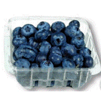 blueberry.gif