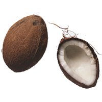 coconut.jpg