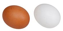 egg.jpg