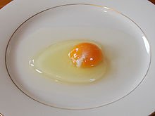 egg_yolk.jpg