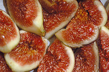 fig.jpg