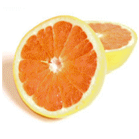 grapefruit.gif