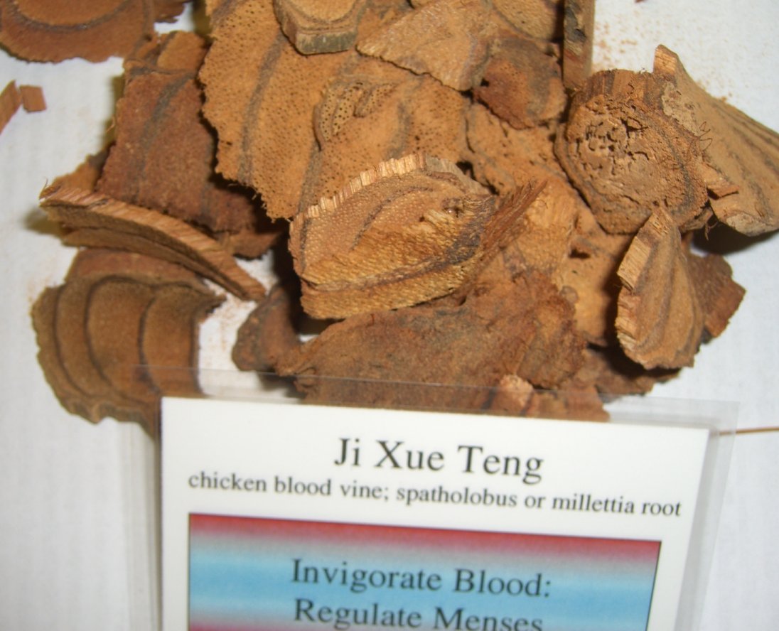 ji_xue_teng.jpg