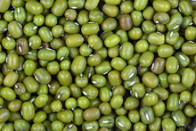 mung_bean.jpg
