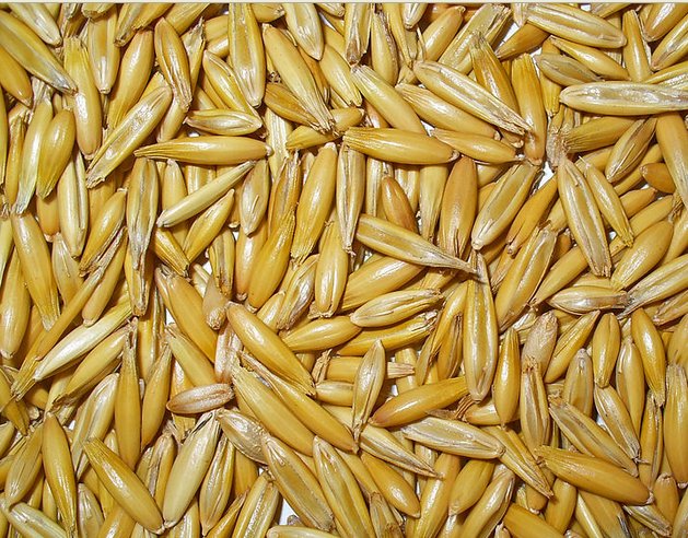 oats.jpg