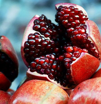 pomegranate.jpg