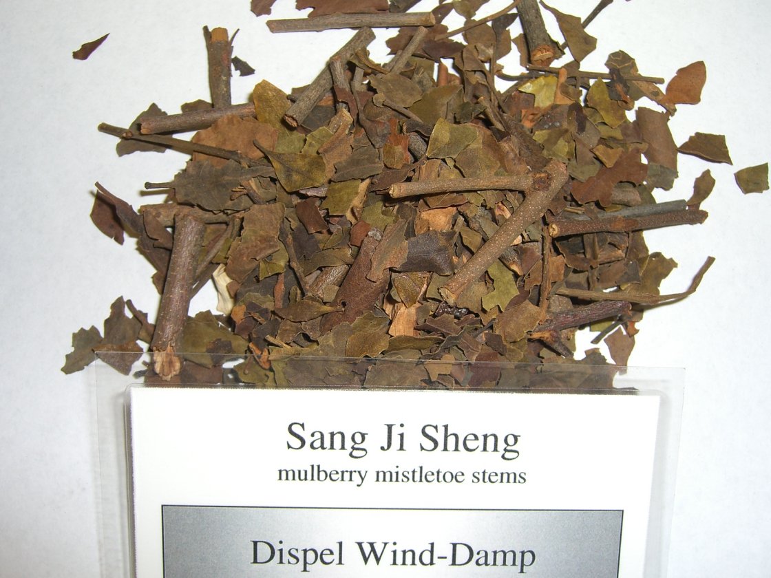 sang_ji_sheng.jpg