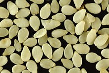 white_sesame.jpg