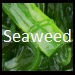 Seaweed